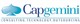 Capgemini SE stock logo