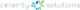 Celerity Solutions Inc. stock logo