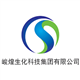 China Sun Group High-Tech logo