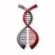 Co-Diagnostics logo