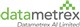 Datametrex AI logo