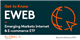 Emerging Markets Internet ETF stock logo