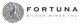 Fortuna Silver Mines logo
