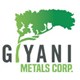 Giyani Metals Corp stock logo