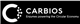 Hammer Fiber Optics Holdings Corp stock logo