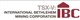 International Bethlehem Mining stock logo