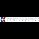 International Corona Capital Corp. stock logo