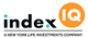 NYLI Candriam U.S. Large Cap Equity ETF stock logo