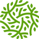 Life On Earth logo