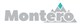 Montero Mining and Exploration Ltd. stock logo