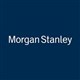 Morgan Stanley Emerging Markets Debt Fund stock logo