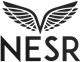 National Energy Services Reunited stock logo