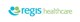 nanosynth group logo