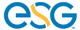 New Energy Systems Group. logo