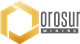 Orosur Mining Inc. stock logo
