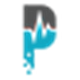 Patient Portal Technologies logo