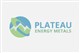 Plateau Energy Metals Inc. stock logo