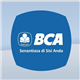 PT Bank Central Asia Tbk logo