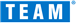 Service Team logo