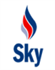 Sky Petroleum Inc. stock logo