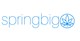 SpringBig logo