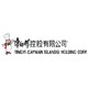Tingyi Cayman Islands logo