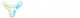Toro Energy logo