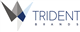 Trident Brands Inc. stock logo