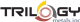 Trilogy Metals Inc. stock logo