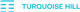 Turquoise Hill Resources logo