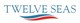 Twelve Seas Investment Company II logo