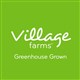 Village Farms International logo