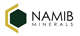 Virtu Financial logo