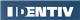 Viscount Systems logo