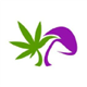 Wuhan General Group  Inc. stock logo