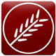 York Traditions Bank logo