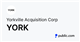 Yorkville Acquisition logo