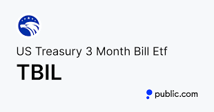 US Treasury 6 Month Bill ETF stock logo