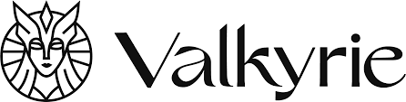 Valkyrie Balance Sheet Opportunities ETF stock logo