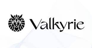 Valkyrie Bitcoin Miners ETF stock logo