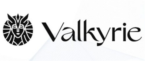 Valkyrie Bitcoin Strategy ETF stock logo