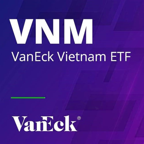 VanEck Vietnam ETF stock logo