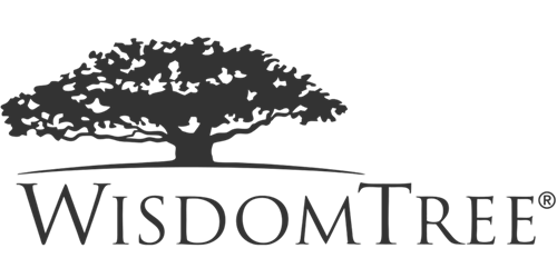 WisdomTree Interest Rate Hedged U.S. Aggregate Bond Fund stock logo