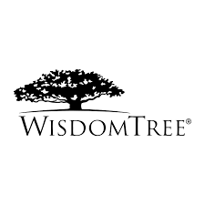 WisdomTree International Quality Dividend Growth Fund stock logo