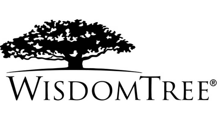 WisdomTree International LargeCap Dividend Fund stock logo