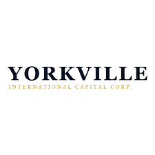 Yorkville International Capital Corp. stock logo