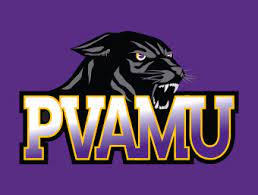 PAVMU stock logo