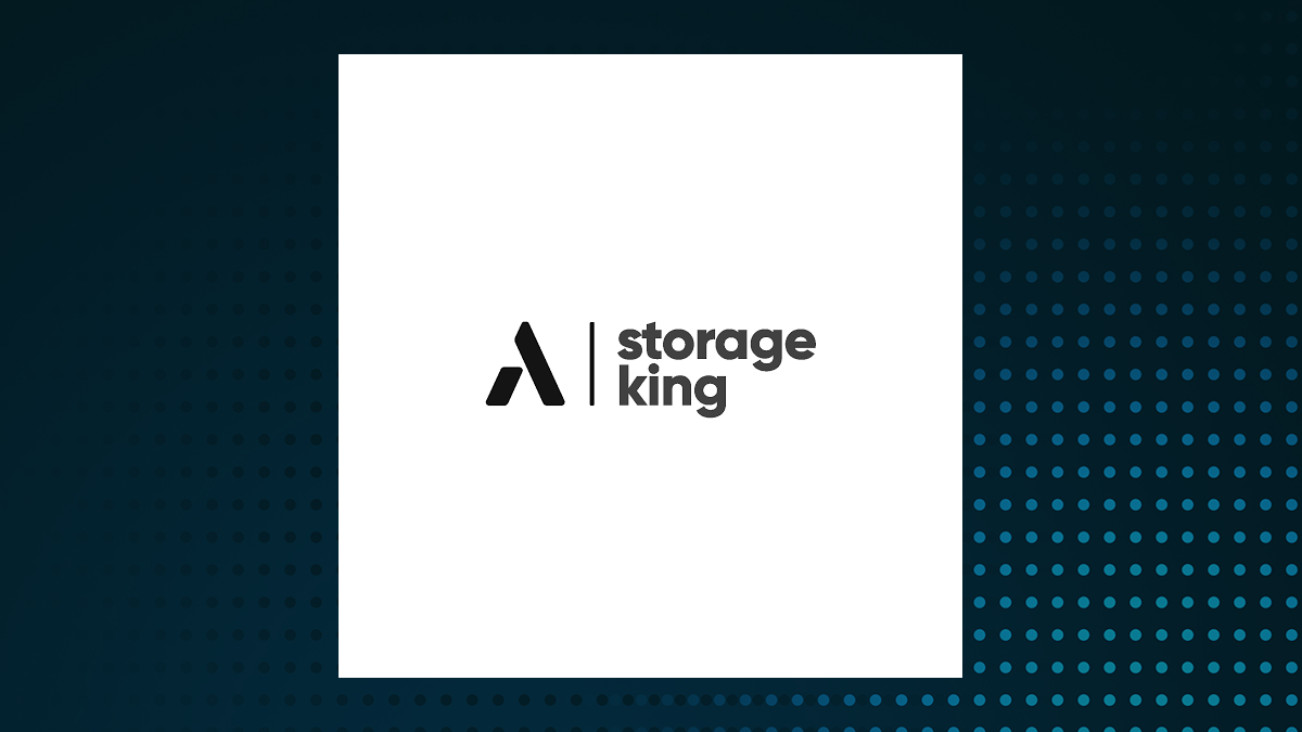 Abacus Storage King logo