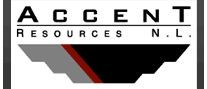 ACS stock logo