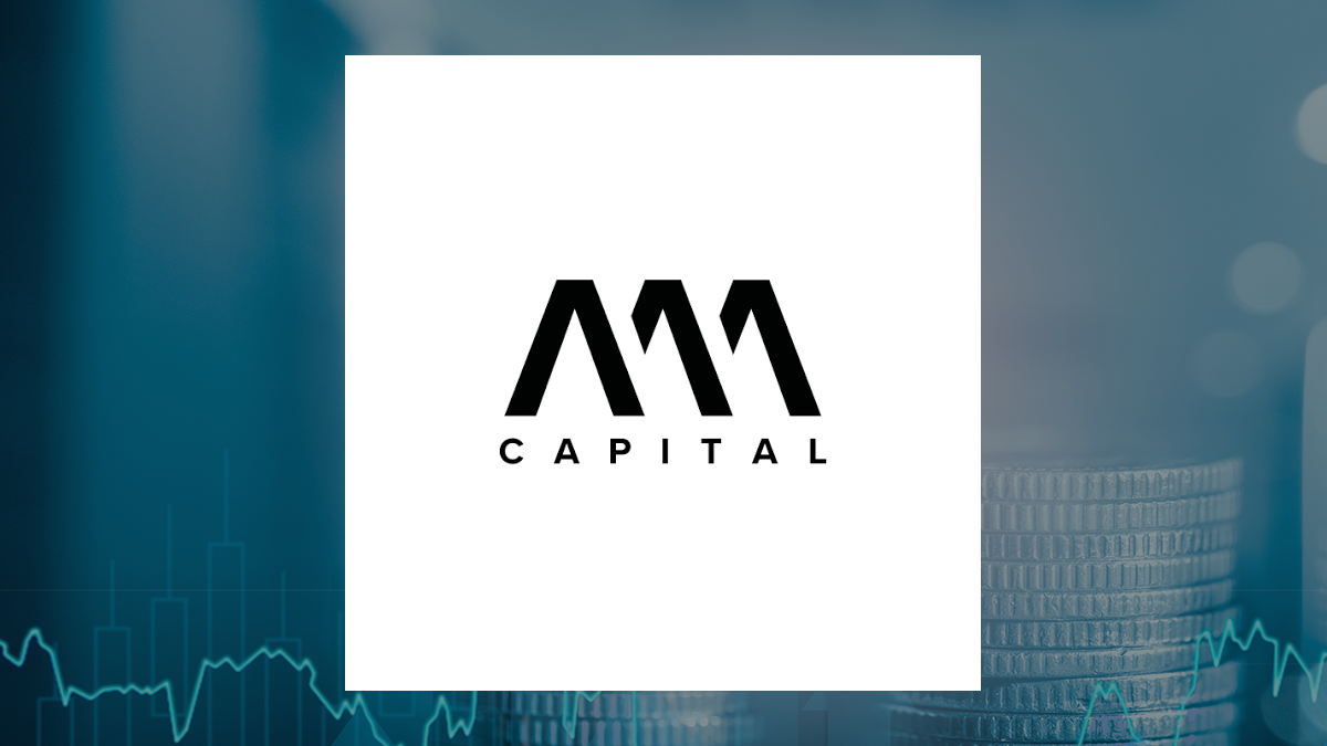 All Active Asset Capital logo
